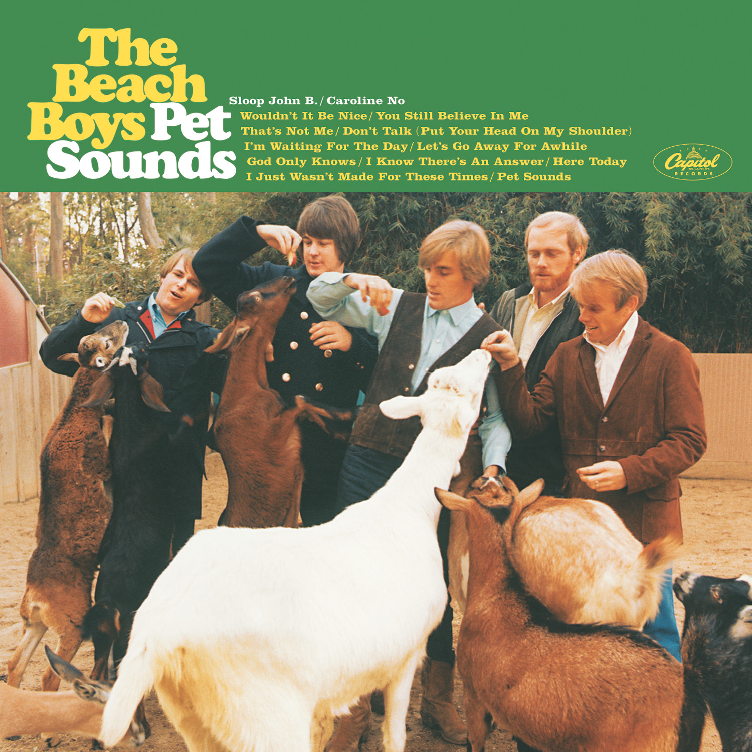 The beach boys pet sounds cover