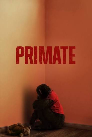 Primate